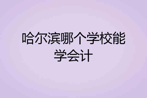 哈尔滨哪个学校能学会计