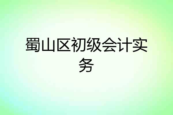 蜀山区初级会计实务