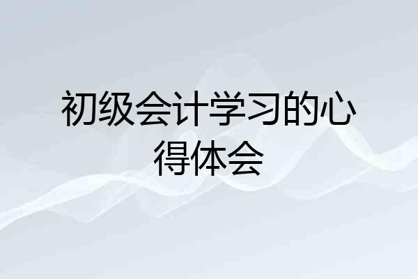 初级会计学习的心得体会