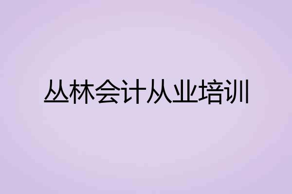 丛林会计从业培训