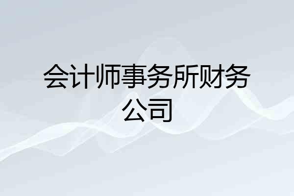 会计师事务所财务公司