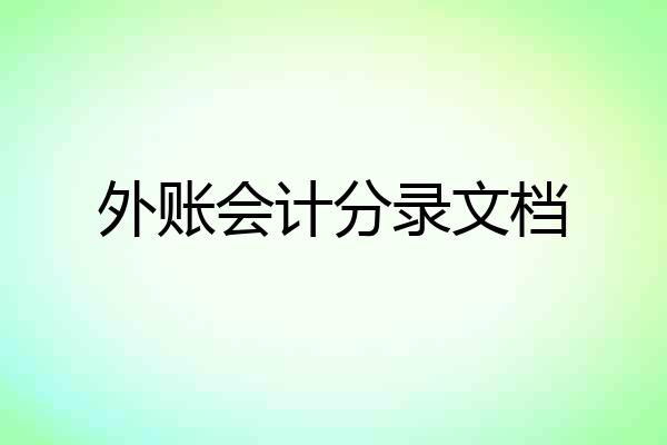 外账会计分录文档