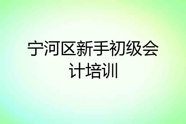 宁河区新手初级会计培训