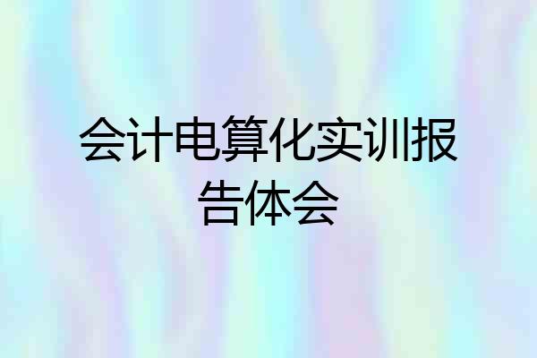 会计电算化实训报告体会