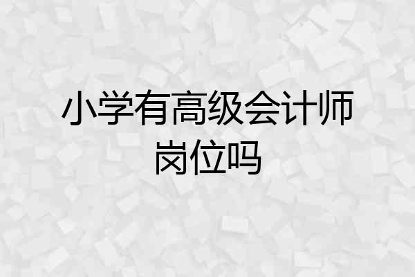 小学有高级会计师岗位吗