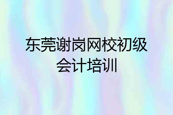 东莞谢岗网校初级会计培训