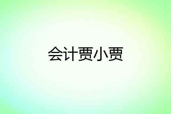 会计贾小贾
