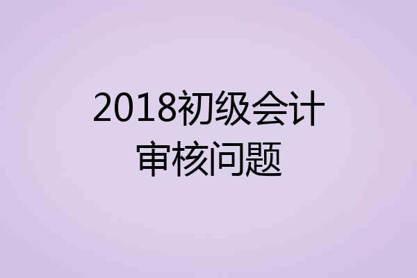 2018初级会计审核问题