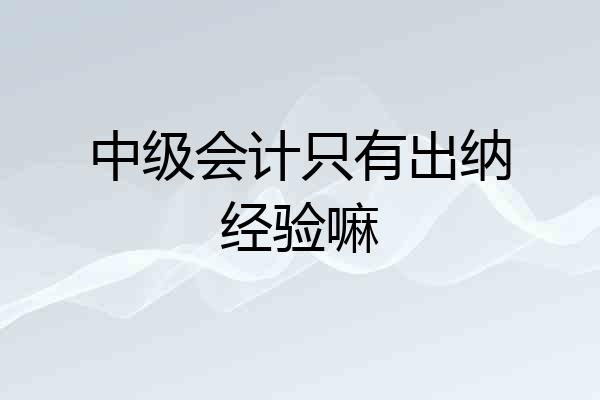 中级会计只有出纳经验嘛