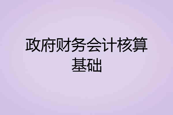政府财务会计核算基础