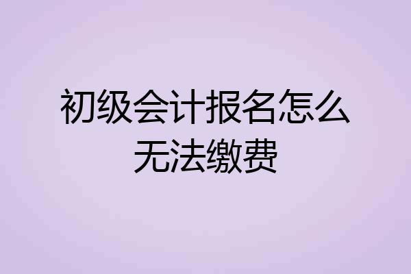 初级会计报名怎么无法缴费