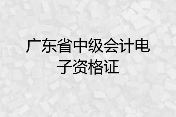 广东省中级会计电子资格证