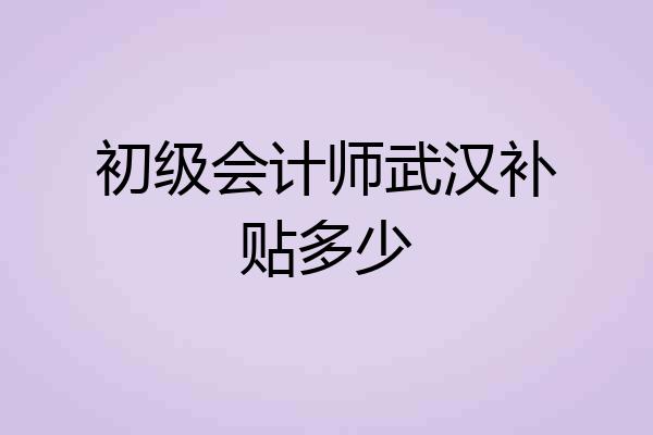 初级会计师武汉补贴多少