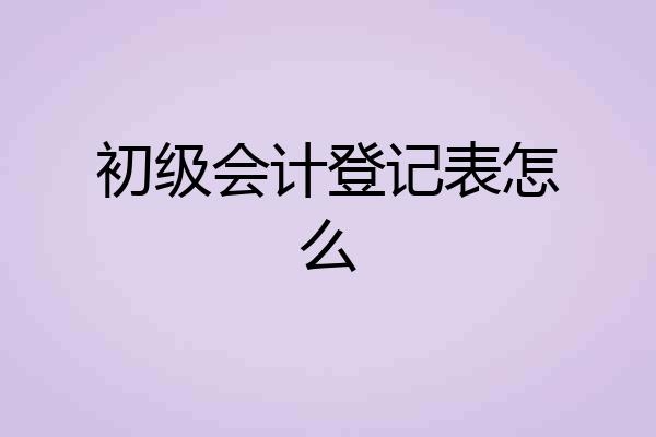 初级会计登记表怎么