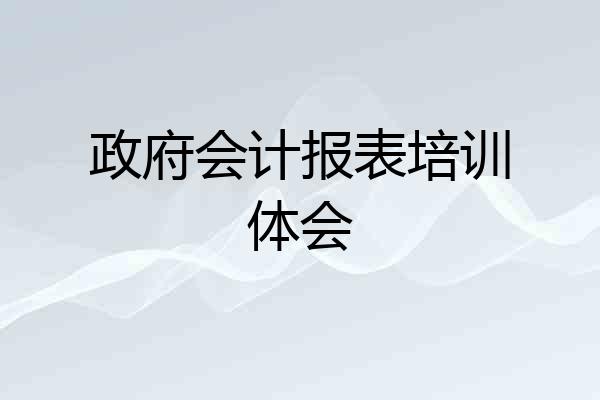 政府会计报表培训体会