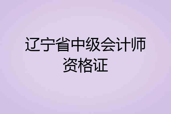 辽宁省中级会计师资格证