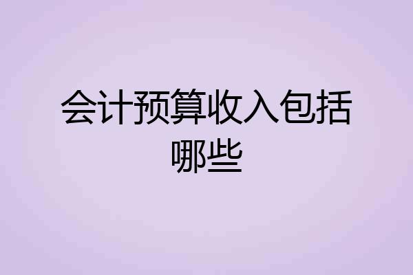 会计预算收入包括哪些