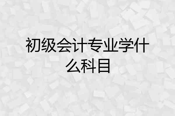 初级会计专业学什么科目