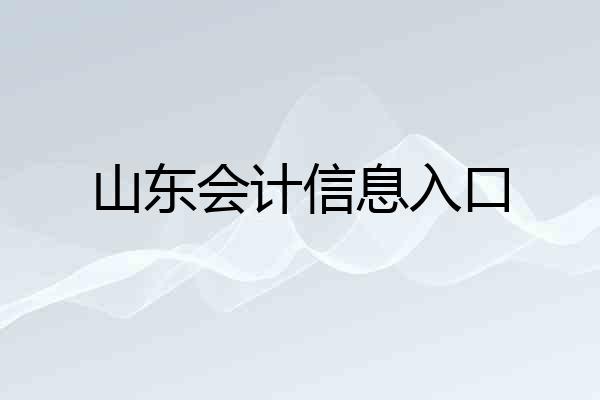 山东会计信息入口