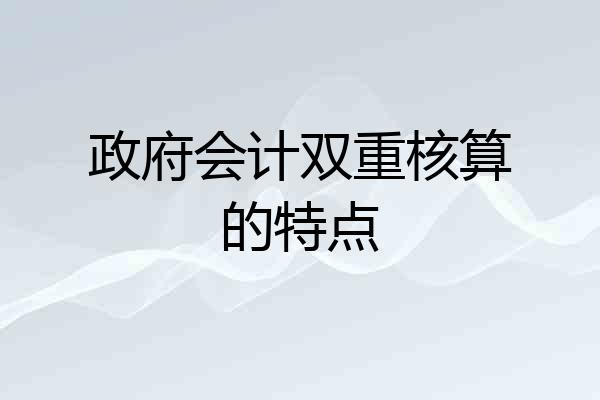政府会计双重核算的特点