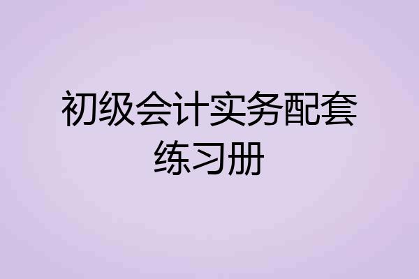 初级会计实务配套练习册