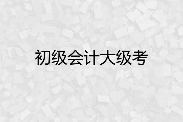 初级会计大级考