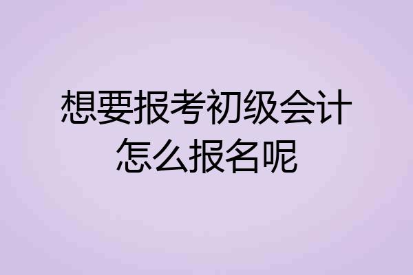 想要报考初级会计怎么报名呢