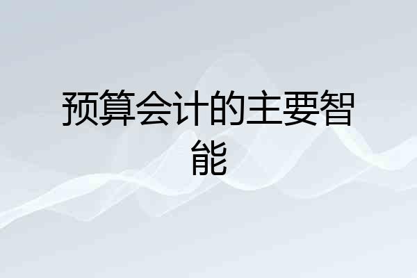 预算会计的主要智能