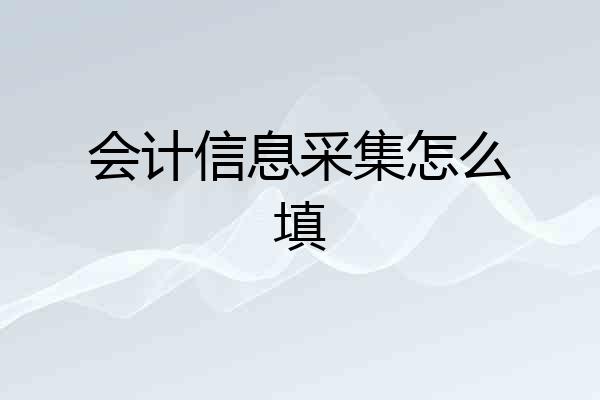 会计信息采集怎么填