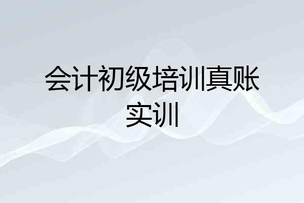 会计初级培训真账实训
