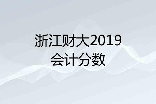 浙江财大2019会计分数