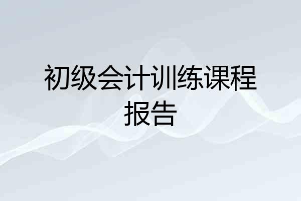 初级会计训练课程报告