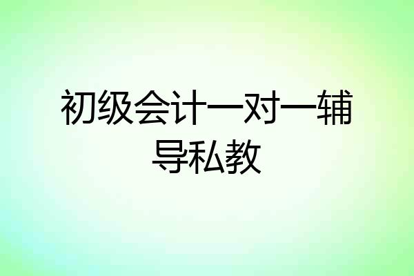 初级会计一对一辅导私教