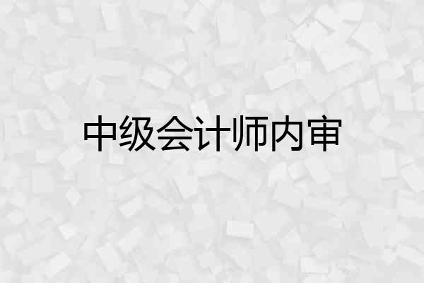 中级会计师内审