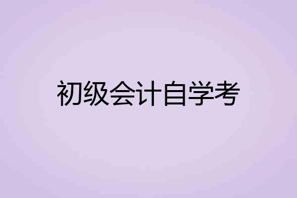 初级会计自学考