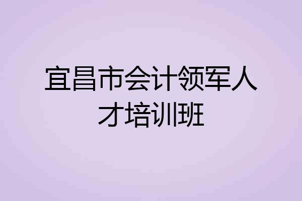 宜昌市会计领军人才培训班