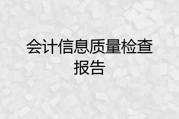 会计信息质量检查报告