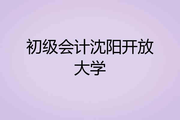 初级会计沈阳开放大学
