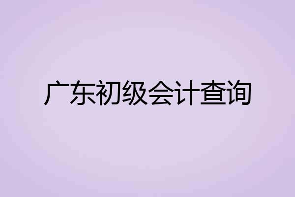 广东初级会计查询
