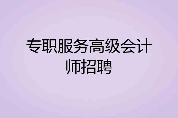专职服务高级会计师招聘