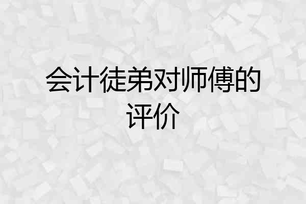 会计徒弟对师傅的评价