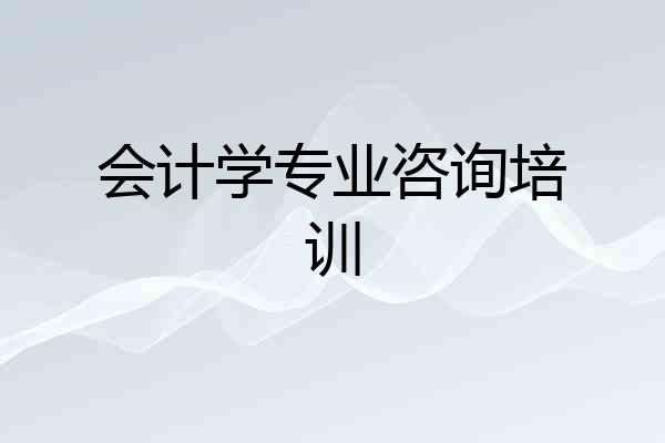 会计学专业咨询培训