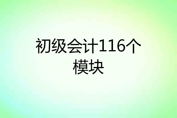 初级会计116个模块