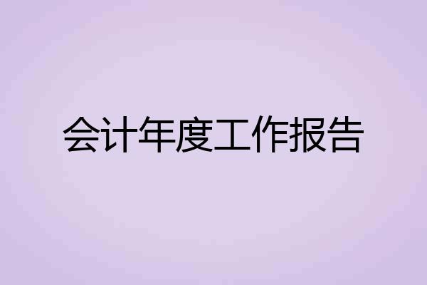 会计年度工作报告