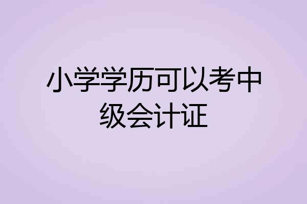 小学学历可以考中级会计证