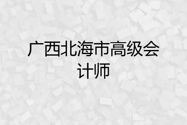 广西北海市高级会计师