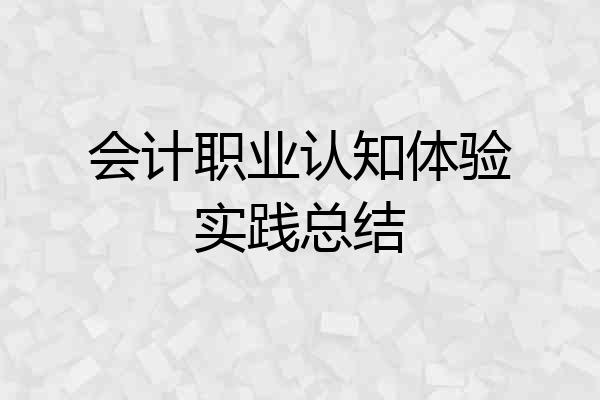 会计职业认知体验实践总结