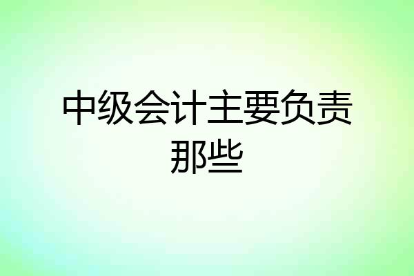 中级会计主要负责那些