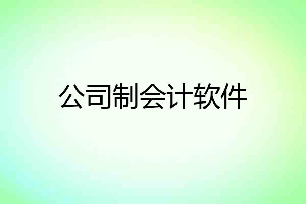 公司制会计软件