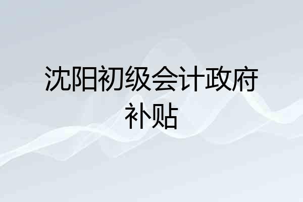 沈阳初级会计政府补贴